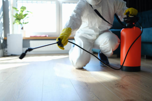 Reliable Odor Removal contractor in Healdsburg, CA by Trauma Clean Pros